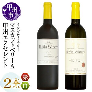 yӂ邳Ɣ[Łz C  [  Iׂ ͂e g 2{ Zbg 750ml CP_Ci[ MnbB @E[ }XJbgx[A @E[W bBGNZg ̓ 