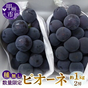 yӂ邳Ɣ[Łz sI[l Ȃ 2026N s\ Iׂ e 1kg`1.5kg 2`4[ bBsY Ԍ ʌ ① N[ uhE n Ԃǂ ʕ  t[c 8`9  R