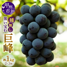 【ふるさと納税】＼レビューキャンペーン実施中／ 巨峰 2026年 先行予約 種なし 約1kg 約1.5kg 配送方法 常温 冷蔵 クール 黒ぶどう フルーツ 果物 黒い宝石 葡萄 ぶどう くだもの 種無し 旬 人気 おすすめ 山梨県産 数量限定 期間限定 贈答 家庭用 山梨県 甲州市 （MG）