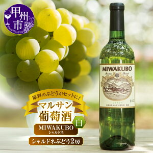 yӂ邳Ɣ[Łz C C 720ml 1{ Ԃǂ 2[ Zbg Vhl }T MIWAKUBO   uhE   AR[ R ̓ ̓ LO J  Mtg 蕨 