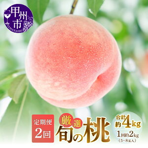 yӂ邳Ɣ[Łz   2026N s\ 2kg×2 5`8 I { ʕ  t[c  ʎ lC VN Pn n bBs R Ԍ ʌ 6`8  荇킹 