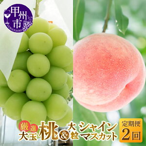 yӂ邳Ɣ[Łz t[c  2026N s\ 2  2kg 5`6 VC}XJbg 1.2kg 2`3[ ʕ   Pn n  Ԃǂ 嗱  Ԍ Mtg  R