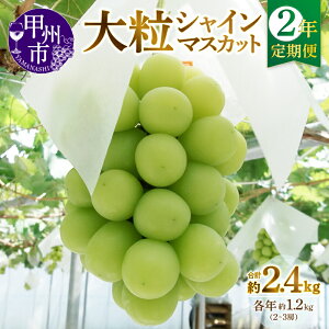 yӂ邳Ɣ[Łz t[c  2N VC}XJbg 1.2kg 2[`3[ 嗱 햳 2 2025N 2026N 8 9 10  Ԍ Ԃǂ ʕ  ʎ Mtg  R b