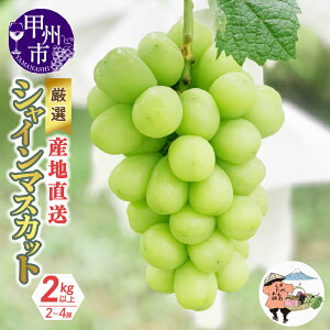 yӂ邳Ɣ[Łz VC}XJbg 2026N s\ 1.1kg 1.5kg 2kg 8 9 10 Iׂ e N 1.1kg`2kgȏ 2[`4[ ʕ Yn Ԍ t[c  Ԃǂ uhE ʎ lC 