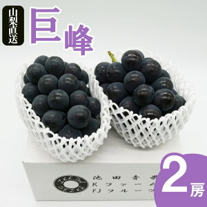 yӂ邳Ɣ[Łz  2026N s\ Iׂ N 2[ 1kg 햳 ʕ I rc 2025N RY Yn { t[c Ԃǂ uhE   Z Â 傫 ʎ bBsY 