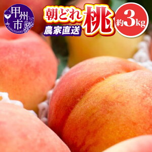 yӂ邳Ɣ[Łz r[Ly[{  2026N s\ Iׂ e 2kg 3kg  4`11 ʕ  t[c bBs I ǂ VN ʎ  rc R n 