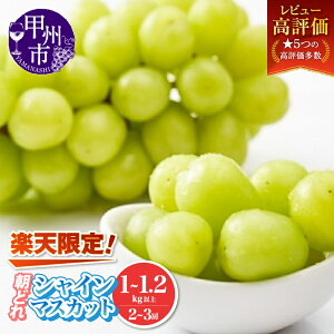【ふるさと納税】 楽天限定 ＼高評価★満足度92.4％／ シャインマスカッ...