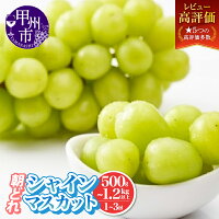 ～農家直送 朝どれ シャインマスカット～
