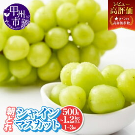 【ふるさと納税】 レビューキャンペーン実施中 シャインマスカット 500g～1.2kg以上 1～3房 果物 選べる 内容量 山梨県産 厳選 農家直送 期間限定 旬 8月 9月 10月 11月 発送 2025年発送 フルーツ ぶどう 甘い 朝どれ 果実 くだもの 人気 甲州市 山梨 社員マスカット (IS)