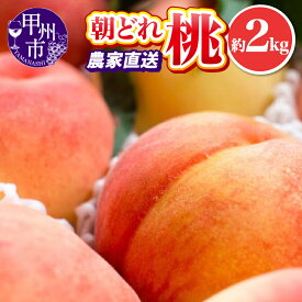 【ふるさと納税】 桃 大玉 もも 選べる容量 約2kg 約3kg 4〜11玉 果物 モモ フルーツ 甲州市 厳選 朝どれ 新鮮 果実 くだもの 池田青果 山梨 白桃系 白鳳系 期間限定 数量限定 人気 ランキング おすすめ 盛り合わせ 2026 先行予約 6月 7月 8月 9月（IS）