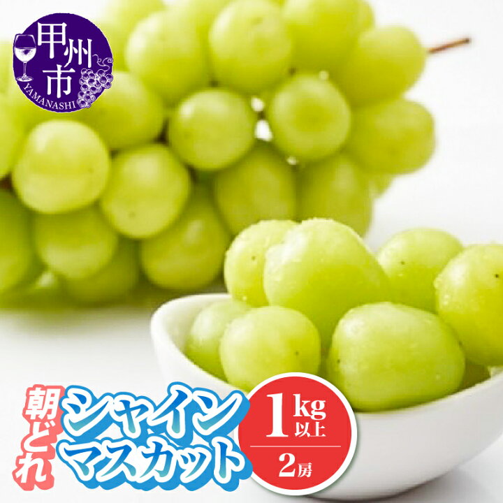 楽天市場】【ふるさと納税】 シャインマスカット 500g～1.2kg 