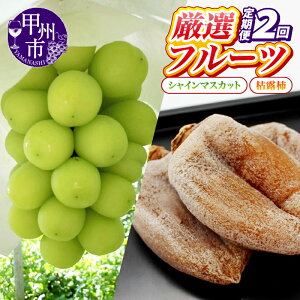 yӂ邳Ɣ[Łz Iׂ  t[c 2 3 4 ʕ  Ԃǂ  2kg  5`7  1kgȏ 2[ VC}XJbg 1kgȏ 2[ ͘I` S`M 8`12 I bBsY 2025Nx 