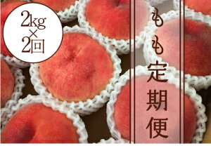 �y�ӂ邳�Ɣ[�Łz ����� �� ��2.0kg 2�� �N2�� �ʕ� ���̂� �퉷 ��� ���� ���� �������� ���ʌ��� ���Ԍ��� 2026�N���� 6�� 7�� 8�� ���� ���� �M�t�g �ƒ�p �iKSB�j �yD-128�z