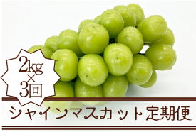 【ふるさと納税】 定期便 シャインマスカット 約2.0kg×3回 全3回 果物 フルーツ ぶどう マスカット 甘み 種なし 皮ごと 産地直送 新鮮 山梨県 甲州市 贈答 ギフト 家庭用 期間限定 数量限定 8月 9月 10月 発送 社員マスカット 2026年発送 先行予約 人気 （KSB） 【F5-101】