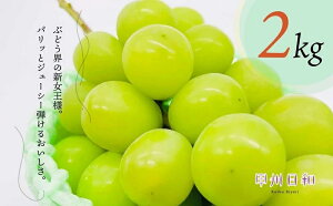 yӂ邳Ɣ[Łz VC}XJbg 2.0kg ʕ Ԃǂ t[c  uhE }XJbg ̂ ʎ 2025N Ԍ ̂ꂽ ґ W[V[ Â  Ȃ Mtg  ƒp 