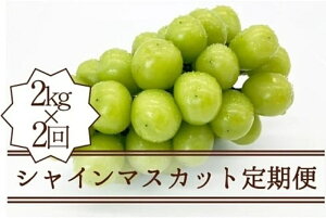 yӂ邳Ɣ[Łz  VC}XJbg 2.0kg×2 S2 ʕ }XJbg Â 炲 lC ʌ Ԍ 퉷  Mtg ƒp  2025N 8 9 10  Ј}X