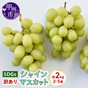 yӂ邳Ɣ[Łz 󂠂 VC}XJbg 2.0kg 2`5[ ʕ SDGs t[hX RY t[c W[V[ Â  uhE  퉷 Ԍ ʌ 2025N ƒp 8 9 1