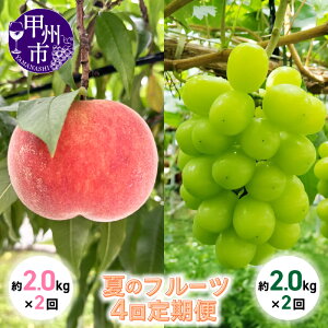 �y�ӂ邳�Ɣ[�Łz ����� �t���[�c �V���C���}�X�J�b�g �� ��2.0kg×2�� �S4�� �ʕ� �b�B�s�Y �������� ���� �}�X�J�b�g �M�t�g ���� �{ �V�N �R���� �b�B�s 2026�N���� 6�� 7�� 8�� 9�� 10�� ���� 