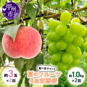 yӂ邳Ɣ[Łz t[c  VC}XJbg  S4 ʕ  bBsY }XJbg   { VN ʎ XC[c T_ AW Hׂ TCY Ẵt[c R