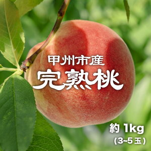 yӂ邳Ɣ[Łz  2026N s\ 1kg 3`5 Pn ʕ t[c ʎ   n Y Yn ʌ Ԍ n { 6 7  Mtg  ƒp bBs R iPJj