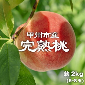 yӂ邳Ɣ[Łz  2026N s\ 2kg 5`8 Pn ʕ Y Yn t[c    ʎ ʌ Ԍ { n 6 7  Mtg  ƒp bBs R 