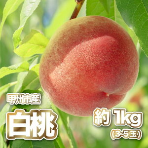 yӂ邳Ɣ[Łz  2026N s\ 1kg 3`5 ʕ  Y Yn t[c   ʎ I ʌ Ԍ 7 8  Mtg  ƒp bBs R iPJj yB-166z