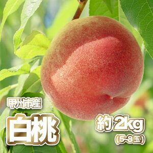 yӂ邳Ɣ[Łz  2026N s\ 2kg 5`8 ʕ  Y Yn t[c    ʎ I ʌ Ԍ { 7 8  Mtg  ƒp bBs R iPJj