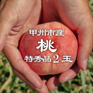 yӂ邳Ɣ[Łz  2026N s\ 2 ʕ Gi  Pn n Y Yn ʎ t[c  ʌ Ԍ I { 6 7 8  Mtg  ƒp PlayestJapan R