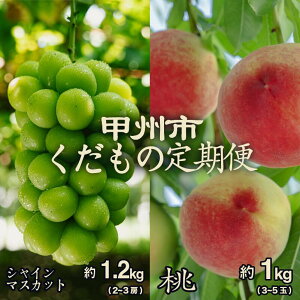 yӂ邳Ɣ[Łz t[c  2026N s\ 2  1kg 3`5 VC}XJbg 1.2kg 2`3[ Zbg ʕ I  Ԃǂ n Pn lC VN { Yn Ԍ ʌ