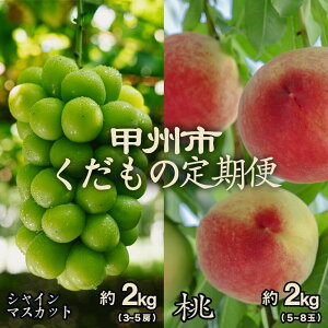 yӂ邳Ɣ[Łz t[c  2026N s\ S2  2kg 5`8 VC}XJbg 2kg 3`5[ ʕ Zbg I 荇킹  { VN 7{ 8 9 10{  Ԍ 