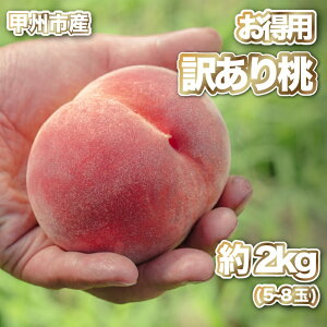 yӂ邳Ɣ[Łz  A 2026N s\ 2kg 5`8 ʕ   t[c  Yn 6 7 8  ʌ Ԍ { VN ƒp p 킯 󂠂 KiO s