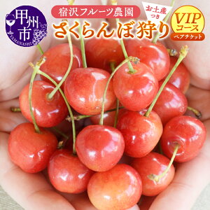 yӂ邳Ɣ[Łz yA `Pbg ڎ 2026N VIPR[X yYt p ht[c_ VN ʕ t[c  W[ ό s ̌ R bBs iSFj yD-145