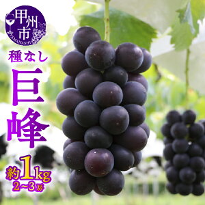 yӂ邳Ɣ[Łz  ʕ 1.0kg 2`3[ bBsY 2025N ht[c_ t[c Ԃǂ Ȃ uhE Z Ԍ ʌ  Mtg ƒp 8 9 10  R bB