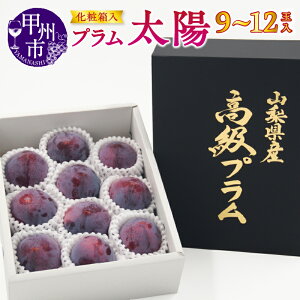 yӂ邳Ɣ[Łz v z 2026N 9`12 Ԍ ht[c_ t[c ʕ bBsY   ϔ Mtg 蕨 R bBs iSFj yB-194z