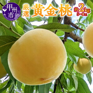 yӂ邳Ɣ[Łz   2026N 2kg 5`8 7 8 9  bBsY I  ht[c_ t[c ʕ  ʎ fU[g ʌ Ԍ  Mtg ƒp 荇