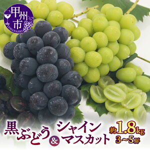 yӂ邳Ɣ[Łz VC}XJbg uhE ʕ l v 1.8kg 3`5[ R bBsY lC I 8 9 10  2025N ht[c_ Ԃǂ  sI[l  ubNr