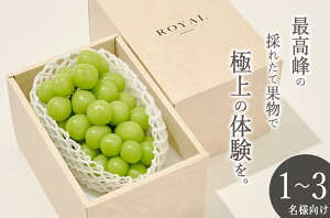 yӂ邳Ɣ[Łz VC}XJbg 1[ 700g ʕ t[c Ԃǂ  uhE }XJbg ʎ  2025N bBsY Yn Â 傫 嗱 lC ① N[ Ԍ 8 9