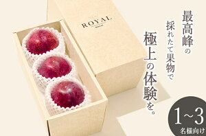 �y�ӂ邳�Ɣ[�Łz ������ �M�z 2026�N ��s�\�� 3���� ��800g �ʕ� �t���[�c �X���� �Y�n���� ��� 8�� 9�� ���� �① �N�[�� ���ʌ��� ���Ԍ��� ���R�_�@ �R�� �b�B�s�Y �iBNC�j �yB-488�z