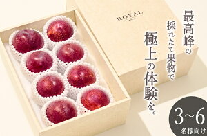 �y�ӂ邳�Ɣ[�Łz ������ �M�z 2026�N ��s�\�� 8���� ��1.6kg �ʕ� �t���[�c �X���� �Y�n���� ��� 8�� 9�� ���� �① �N�[�� ���ʌ��� ���Ԍ��� ���R�_�@ �R�� �b�B�s�Y �iBNC�j �yC4-488�z