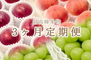 �y�ӂ邳�Ɣ[�Łz �t���[�c ����� 3�� 2026�N ��s�\�� ������ 8�� �� 6�� �V���C���}�X�J�b�g 2�[ �ʕ� �ʎ� �b�B�s�Y ��� �嗱 �M�z �����n ���P�n ���荇�킹 �Y�n���� ���Ԍ��� ���ʌ��� 7