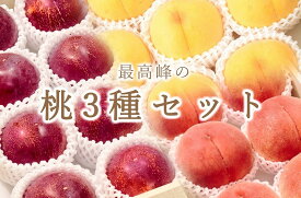 【ふるさと納税】 フルーツ 定期便 3回 すもも 桃 黄金桃 大玉 貴陽 プラム 3種 セット 果物 果物 産地直送 2024年発送 数量限定 期間限定 自然農法 山梨 甲州市産 贈答 ギフト 家庭用 7月 8月 9月 発送 白鳳系 白桃系 （BNC） 【I3-101】