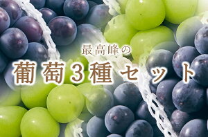 �y�ӂ邳�Ɣ[�Łz �Ԃǂ� ����� 2�� 2026�N ��s�\�� �V���C���}�X�J�b�g �s�I�[�l ���� 3�� �Z�b�g 2�[ �ʕ� �t���[�c ���� �b�B�s�Y �嗱 �햳�� ���荇�킹 �Y�n���� ���Ԍ��� ���ʌ��� 8�� 