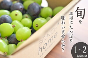 yӂ邳Ɣ[Łz Ԃǂ VC}XJbg sI[l l MIX 500g ʕ t[c  uhE 2025N bBsY 荇킹 ① N[ Yn ʌ Ԍ 8{`9