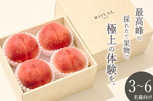 �y�ӂ邳�Ɣ[�Łz �� 2026�N���� ��� 1.8kg�ȏ� 450g�ȏ� 4���� �ʕ� �t���[�c �b�B�s�Y ���� ���� �������� ���P�n �����n �ʎ� �Y�n���� ���ʌ��� ���Ԍ��� 7�� 8�� ���� ���R�_�@ �R�� �b�B�s