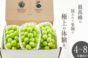 yӂ邳Ɣ[Łz VC}XJbg 3[ 2kg ʕ t[c  Ԃǂ }XJbg ʎ  2025N Yn lC ① N[ bBsY 嗱 Â 傫 Ԍ 8{