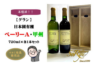 yӂ邳Ɣ[Łz C   2{ Zbg e1{ 720ml  Ox[[A ObB V[E[ {ih ԃC C Cg{fB h {ŗL AR[   