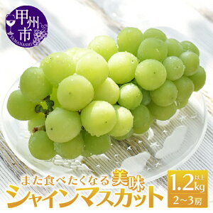 yӂ邳Ɣ[Łz VC}XJbg 1.2kg ȏ 2`3[ ʕ t[c  uhE Ԃǂ  Ԍ 8 9 10  2025N RY bBsY VN lC ̂ꂽ I Ј}XJ
