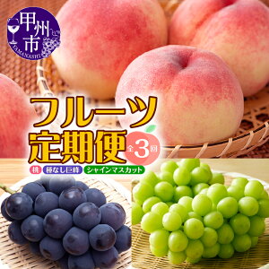 yӂ邳Ɣ[Łz r[Ly[{ t[c  2026N s\  2kg VC}XJbg 1.2kgȏ  1.5kgȏ ʕ  Ԃǂ Ȃ n bBs Yn Y