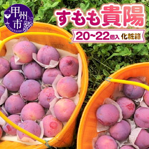 yӂ邳Ɣ[Łz  Mz 2026N s\  Iׂe 1.35kg`2.8kg 8 9 20`22 t[c ʕ n Â  X 7 8  ① Ԍ ʌ ϔ 