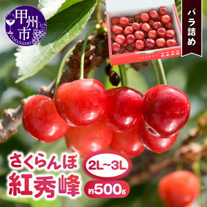 yӂ邳Ɣ[Łz  gG 2026N s\ Iׂ傫 L`3L TCY 500g ol 6  ʕ `F[  n 嗱  t[c x ړ oq o